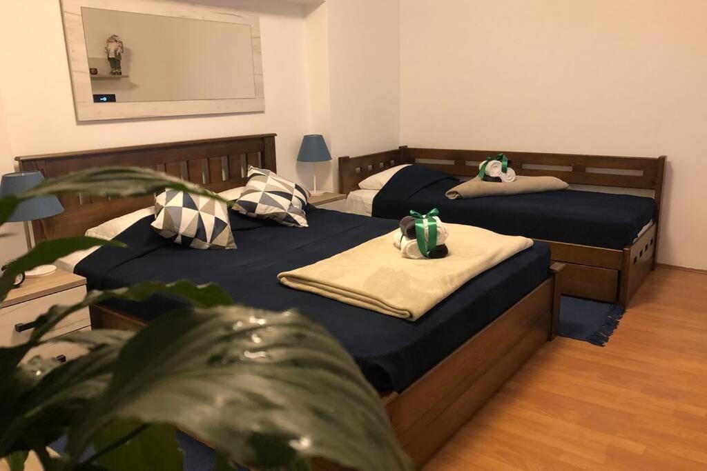 Apartments Balkanska City Center Beograd Eksteriør bilde